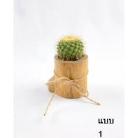 ราคา กระถางตอไม้ กระถางขอนไม้ กระถางไม้สำหรับใส่ต้นไม้ (2324573451)