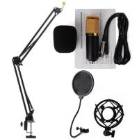 ราคา igootech Sound Studio Dynamic Mic + Shock Mount Condenser Microphone (16469432037)