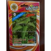 ราคา เมล็ดกะเพรา 10 แถม 1 กะเพรา holy basil พุ่มใหญ่ ใบหอม เมล็ดพันธุ์ผัก กระเพรา (16469251775)