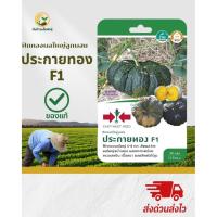 ราคา ฟักทองผลใหญ่ลูกผสม “ประกายทอง F1” (27942620533)