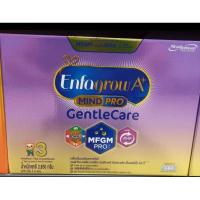 ราคา เอนฟาโกรเอพลัส เจนเทิลแคร์ สูตร3 (23571697285)