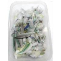 ราคา ขนนกแท้ ขนนกแก้วฟอพัส (5283881991)