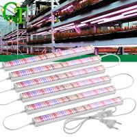 ราคา AC100-265V Full Spectrum Plant Light 4PCS/6PCS/10PCS/12PCS โคมไฟปลูกต้นไม้ ไฟเสริมแสงสำหรับพืช โคมไฟพืชสเปกตรัมเต็มระบบ (41150967679)
