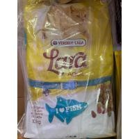 ราคา Lara Adult Salmon 10 Kg. อาหารแมวลาร่า ขนาด กระสอบ 10กิโลกรัม สูตรปลาแซลมอน สำหรับแมวโต โปรตีนสูง สินค้าใหม่ (24982076467)