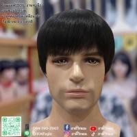 ราคา วิกผมผู้ชาย วิกผมแท้ วิกผมสั้นผู้ชาย ผมแท้100% งานทอมือ งานทอขวัญ SILK หนังศรีษะเหมือนจริง ทรงผมซอยสั้น (19032135652)