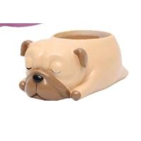 ราคา บูดด็อก กระถางปูน สําหรับเพาะไม้อวบน้ํา กระบองเพชร ชามรูปหล่อ (28850061688)