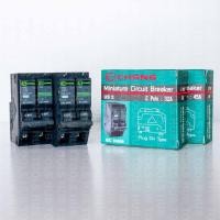 ราคา CHANG เซอร์กิต เบรคเกอร์ 2 Pole 32A /45A # Circuit Breaker (22548593425)