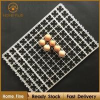 ราคา [Katarina_x] ถาดฟักไข่อัตโนมัติถาดนกกระทาไก่ไข่ฟักไข่ภาชนะเก็บ (47854689943)