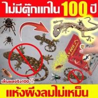 ราคา 50 ปีไม่มีจิ้งจกและแมลงยากำจัดตุ๊กแก ยาฆ่าจิ้งจก ยากำจัดจิ้งจก กำจัดจิ้งจก 100g ​สูตรเข้มข้นกินดี ตายเร็ว Gecko Killer (41171212547)