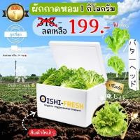ราคา Oishi-Freshผักกาดหอม ปลอดสารพิษ 1 กก. รสชาติกรอบ สด ใหม่ ใยอาหารสูง หวานออร์แกนิค เคลมได้ 1-2 วัน (29022783429)