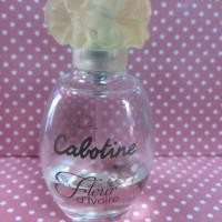 ราคา Gres cabotine น้ำหอมแท้ 100% (400240180)