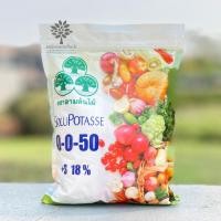 ราคา ปุ๋ยเกล็ด วาย.วี.พี. 0-0-50 - ขนาด 1 กิโลกรัม - สร้างแป้ง และน้ำตาล บำรุงผลผลิต (21875046604)