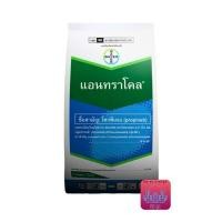 ราคา แอนทราโคล( Antracol ) สารโพรพิเนบ สารป้องกันและกำจัดโรคพืช ( 1 กิโลกรัม ) (25333667674)