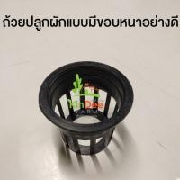 ราคา ถ้วยปลูกผักไฮโดรโปนิกส์ สีดำ ใช้ซ้ำได้ แพ๊ค10, 50ใบหนาอย่างดี (24820420555)
