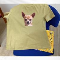 ราคา เสื้อยืดสีเขียว สกรีนลายชิวาว่า ผ้าคอตตอน (19175350201)