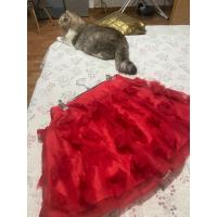 ราคา lanvin skirt paris, size m, been used like new, silk, red, amazing roses (25046926247)