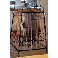 ราคา กรงนก 15 ซี่ สปอร์ต เสาสายฟ้า ไม้ขาวดำ ไผ่ รุ่นแรก บอดี้ใหญ่ บังยัน (25795880716)