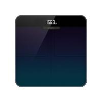 ราคา เครื่องชั่งน้ำหนักอัจฉริยะ Amazfit Smart Scale (22371659042)