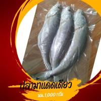 ราคา ปลาม้า ปลาแดเดียว ปลาแดดเดียว ปลาจากแหล่งธรรมชาติ ปลาเนื้อแน่นๆสดใหม่ สะอาด ปลอดสารกันบูด ขนาด 2-3 ตัว/กก. (22766320860)