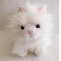 ราคา ตุ๊กตาแมว เปอร์เซีย เท้าถ่วง ก้นถ่วง Ganz Persian Cat สภาพเหมือนใหม่ ขนาด 8 นิ้ว งาน Ganz (10062120136)
