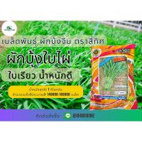 ราคา ผักบุ้งจีน 1 กิโลกรัม (27521618049)