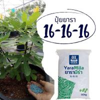 ราคา ปุ๋ยยารามีร่า 16-16-16 บำรุงต้น ใบดอก และผล (27866131259)