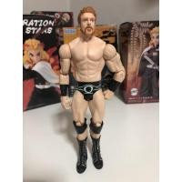 ราคา โมเดล มวยปล้ำ wwe sheamus เบสิก (9522776726)