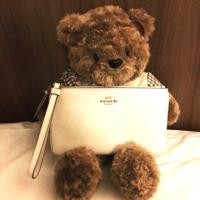 ราคา ♥️COACH size L 1zip(LARGE WRISTLET IN CROSSGRAIN LEATHER BLUSH (917423349)