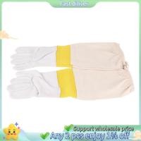 ราคา ถุงมือการเลี้ยงผึ้งเครื่องมือการเลี้ยงผึ้งหนังสีขาวสีเหลืองทองตาข่ายสั้นตาข่ายระบายอากาศถุงมือเครื่องมือป้องกันผึ้ง (41663543486)