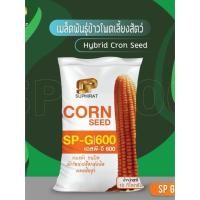 ราคา เมล็ดพันธุ์ข้าวโพดเลี้ยงสัตว์SPG-600 (24020034374)