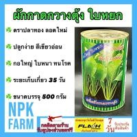 ราคา ปลาทอง กวางตุ้งต้น ใบหยก(ขนาด 500 กรัม) หมดอายุ 04/2570 ปลูกง่าย โตเร็ว ต้นสีเขียวอ่อน กอใหญ่ ใบหนา (24890910122)