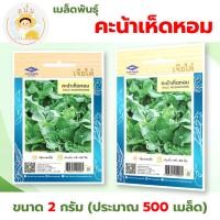 ราคา เมล็ดพันธุ์ คะน้าเห็ดหอม (Kale Mushrooms) คะน้า ผักซอง เจียไต๋ OP ขนาด 2 กรัม (ประมาณ 500 เมล็ด) (27928359733)