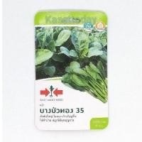 ราคา คะน้า​ บางบัวทอง35​ ตราศรแดง เมล็ดพันธุ์ตราศรแดง (3021856388)