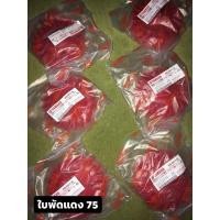 ราคา ใบพัดสีแดง MIO,FINO,NOUVO #แท้ศูนย์YAMAHA (6678560024)