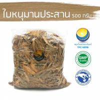 ราคา ใบหนุมานประสานกายแห้ง 500 กรัม 349 บาท "คัดมือ ด้วยความใส่ใจ" หนุมานประสานกาย ใบหนุมาน (8612497435)