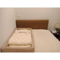 ราคา เบาะนอนเด็กมือสองแบรนด์ญี่ปุ่น (24419302186)