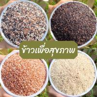 ราคา ข้าวเพื่อสุขภาพ ข้าวกล้อง ข้าวไรซ์เบอรี่ ข้าวสังข์หยด น้ำหนัก 1กิโล (41165810036)