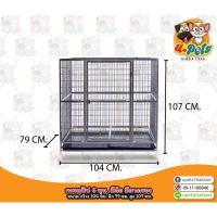 ราคา กรงสุนัข กรงสัตว์เลี้ยง ขนาดใหญ่ กรงแป๊ป 6 หุน มีล้อ มีถาดรอง ถอดประกอบได้ <สินค้าพร้อมส่ง> (6333655839)
