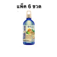 ราคา [แพ็ค 6 ขวด] Yanhee Vitamin C Water White Galingale 460ml. ยันฮีน้ำวิตามินซีวอเตอร์ กระชายขาว 460มล. (25147141475)