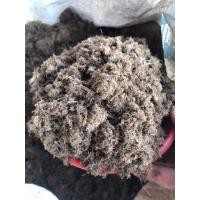 ราคา ขี้วัวนมแท้ 100% ขี้วัวบดละเอียด ขี้วัวป่น มูลวัวนมป่น มูลวัวนมบดละเอียด ไม่มีโซดาไฟ ไม่มีสารเคมี (21372374866)