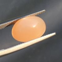 ราคา มุกดาหาร พลอยมุกดา มูนสโตน Moonstone พลอยแท้ พลอยธรรมชาติ , for made ring,Loose stone (3833333421)