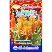 ราคา เมล็ดดอกสร้อยไก่ celosia plumosa MT/FW-08 ปริมาณ400เมล็ด เมล็ดพันธุ์ดอกไม้ เมล็ดพันธุ์ดอกสร้อยไก่ (20784514517)
