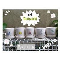 ราคา กระถางดินเผา,กระถางแคคตัส (10322379092)