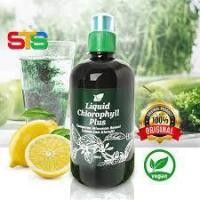 ราคา Liquid Chlorophyll Plus คลอโรฟิลล์ พลัส ชนิดน้ำ 500 มล. (คลอโรฟิลล์คอสเวย์) ล้างสารพิษ ต้านอนุมูลอิสระ (20171474371)