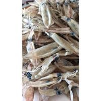 ราคา ปลาหมึกแห้งจำหน่ายของทะเล (3083643448)
