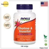ราคา Now Foods, Choline & Inositol, 100 Veg Capsules (9821453987)