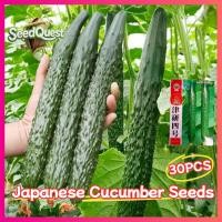 ราคา ของแท้ 100% เมล็ดพันธุ์แตงกวา เมล็ดแตงกวาญี่ปุ่น 30เมล็ด Japanese Cucumber Seed เมล็ดแตงกวา เมล็ดพันธุ์ เมล็ดผักสวนครัว (49154724178)