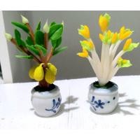 ราคา กระถางต้นขนุน+กระถางต้นถั่วงอกไม้มงคลเสริมดวงชะตาหนุนนำกิจการการค้าหนุนนำหน้าที่การงานหนุนนำโชคลาภเงินทอง (9169560303)