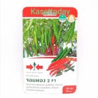 ราคา เมล็ดพริกหนุ่มเขียว​ จอมทอง2​ ตราศรแดง​ F1​ เมล็ดพันธุ์ตราศรแดง (9937186963)