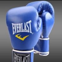 ราคา นวมชกมวยคิกบ็อกซิ่ง Everlast (24579607465)